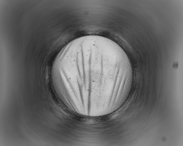 X0000099510074200806121448