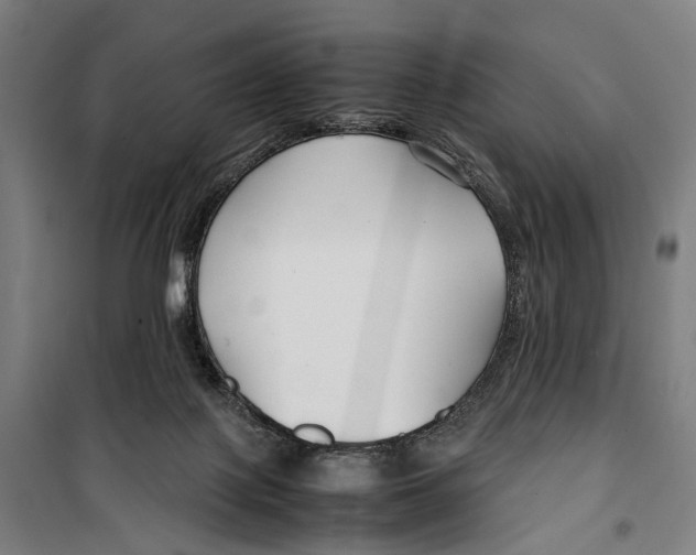 X0000099510075200806121448