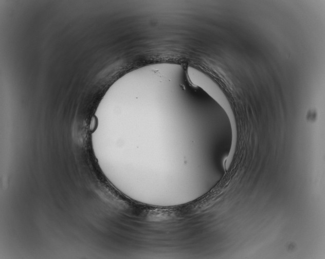 X0000099510077200806121448