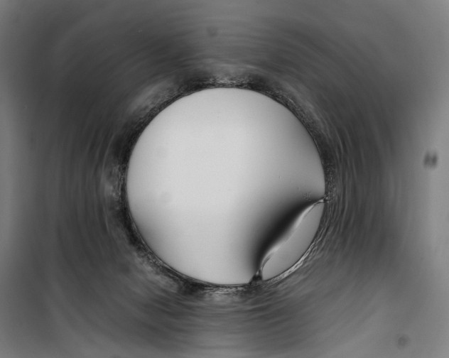 X0000099510078200806121448