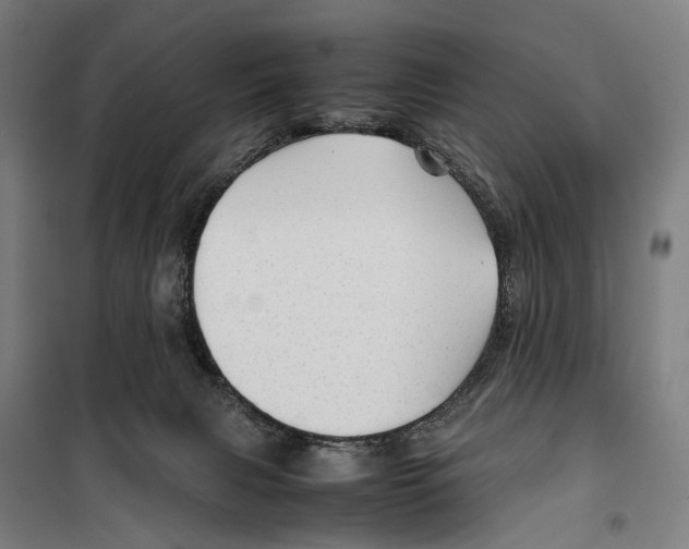 X0000099510079200806121448