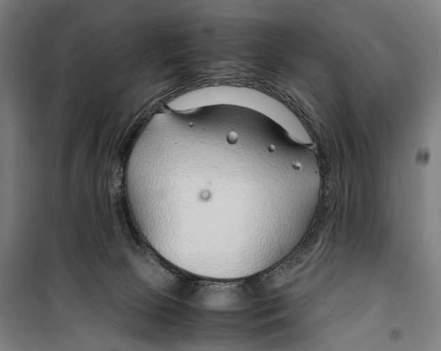 X0000099510081200806121448