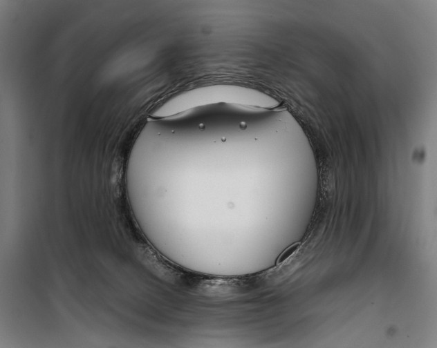 X0000099510082200806121448