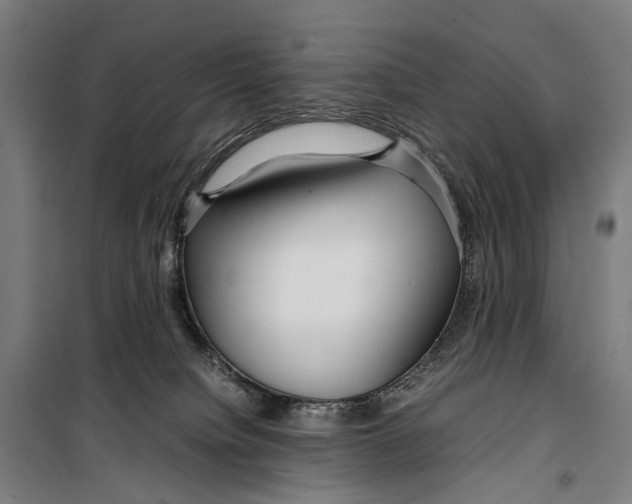 X0000099510084200806121449