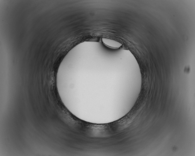 X0000099510085200806121449
