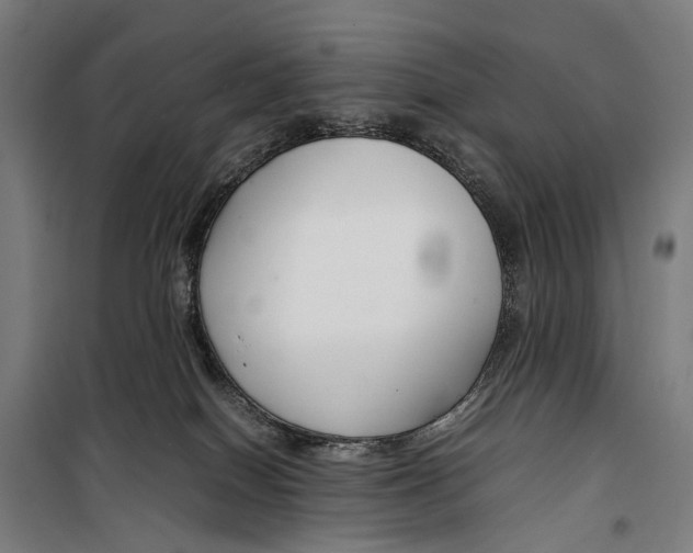 X0000099510086200806121449