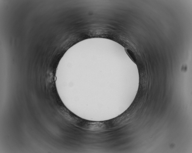 X0000099510087200806121449