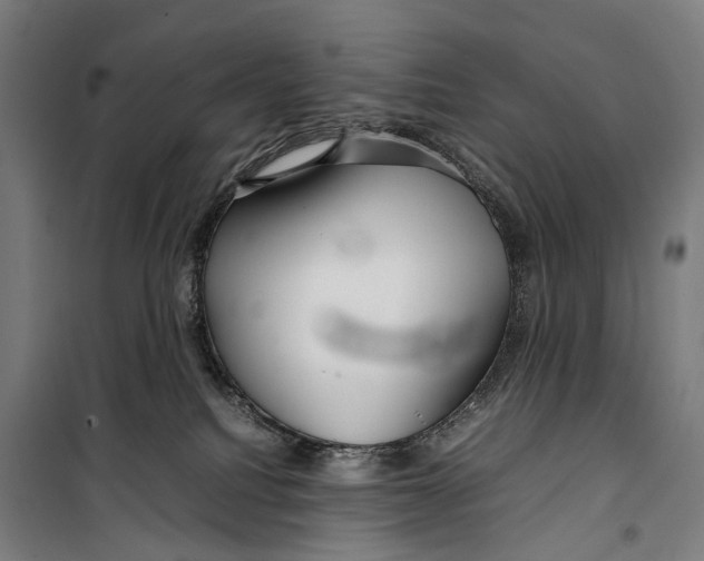 X0000099510088200806121449