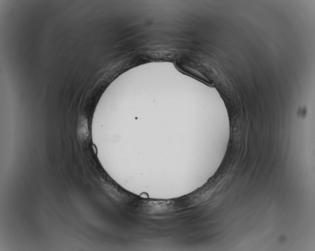 X0000099510089200806121449