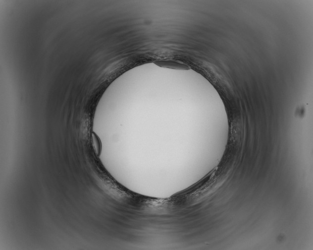 X0000099510092200806121449