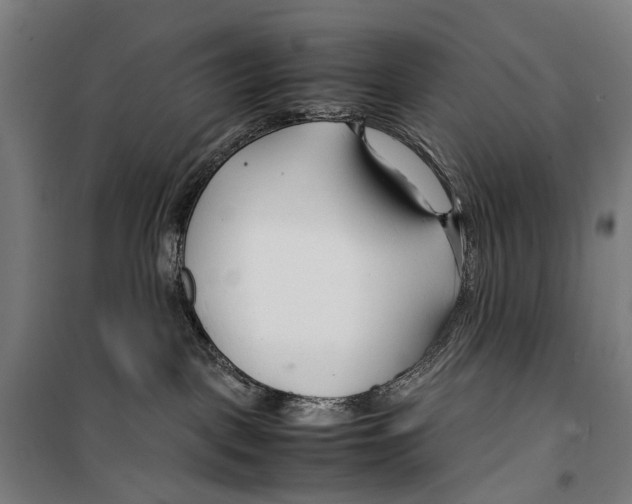 X0000099510093200806121449
