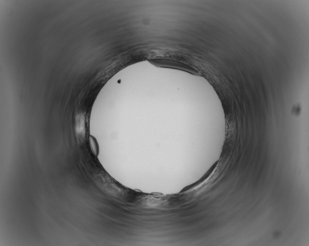 X0000099510094200806121449