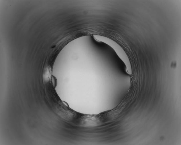X0000099510095200806121449