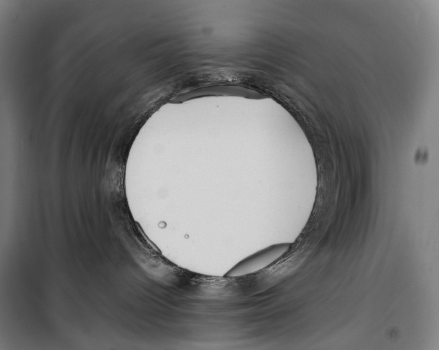 X0000099510096200806121449