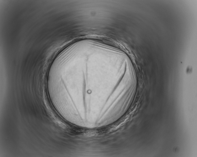 X0000099510097200806121448