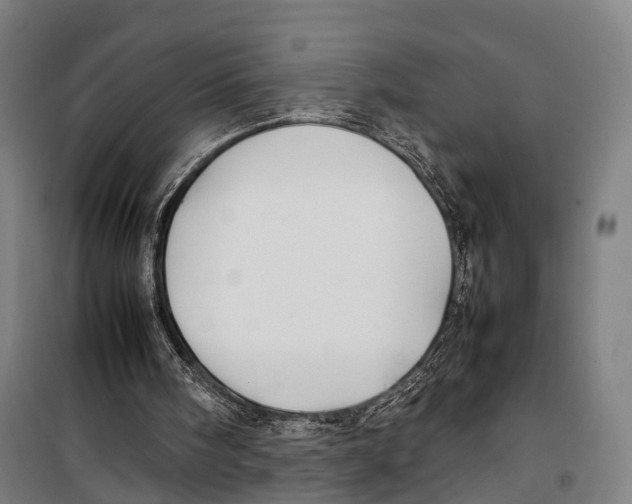 X0000099510098200806121448