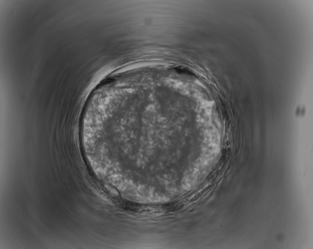 X0000099510099200806121448