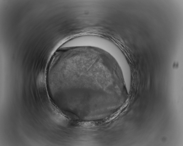 X0000099510100200806121448