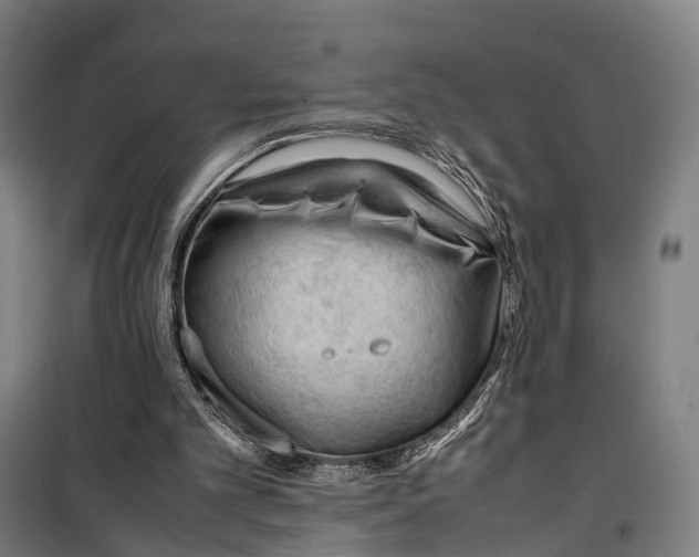 X0000099510101200806121448
