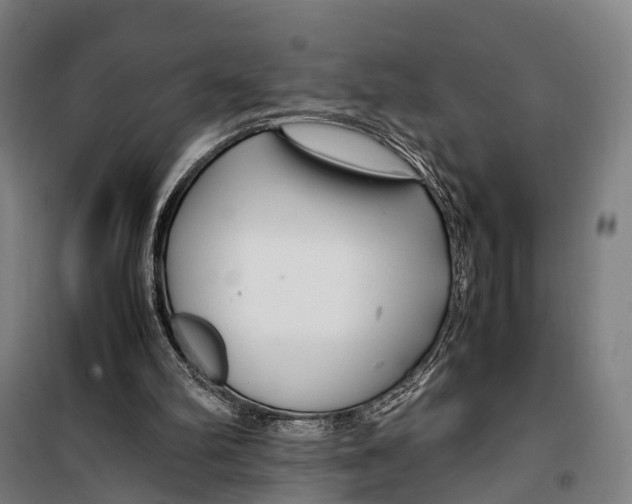 X0000099510102200806121448