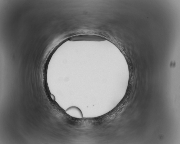 X0000099510103200806121448