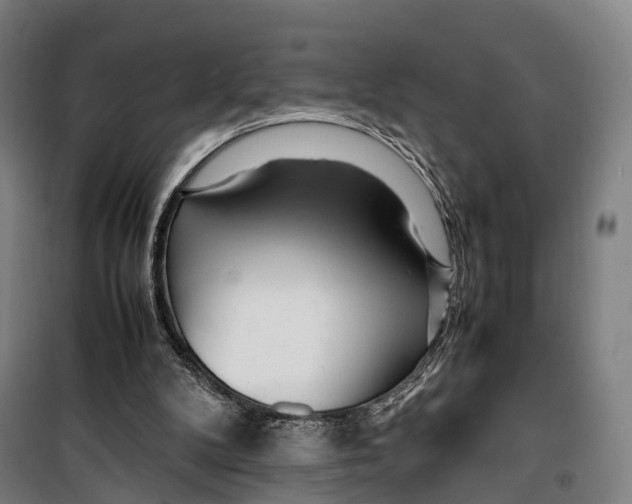 X0000099510104200806121448