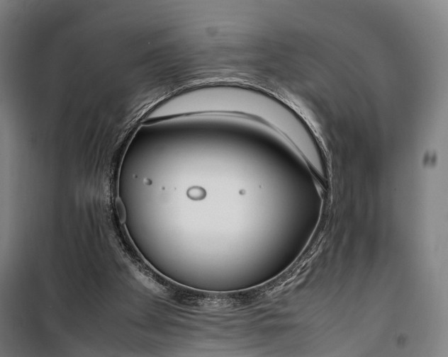 X0000099510105200806121448