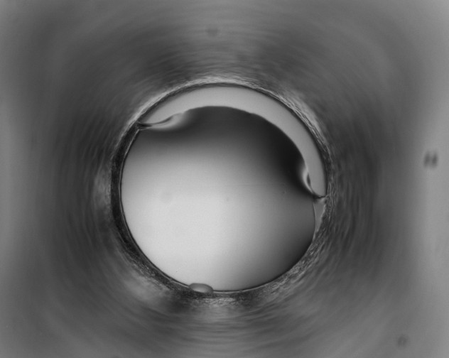 X0000099510108200806121448