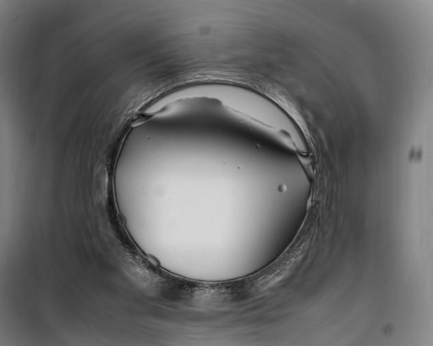 X0000099510109200806121448