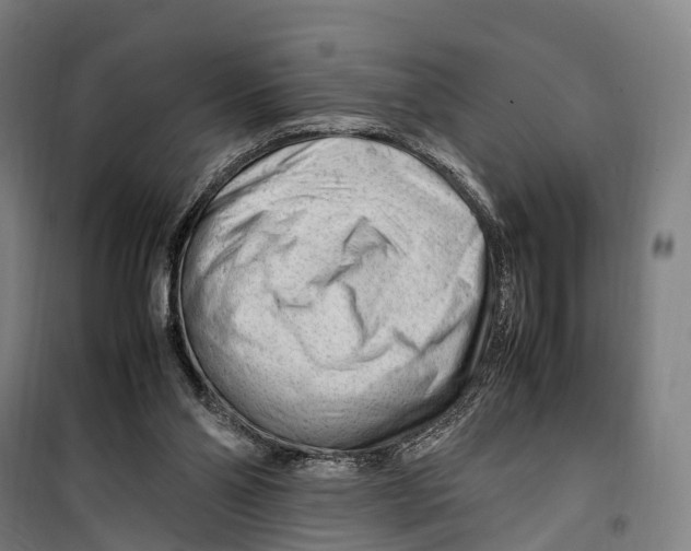 X0000099510110200806121448