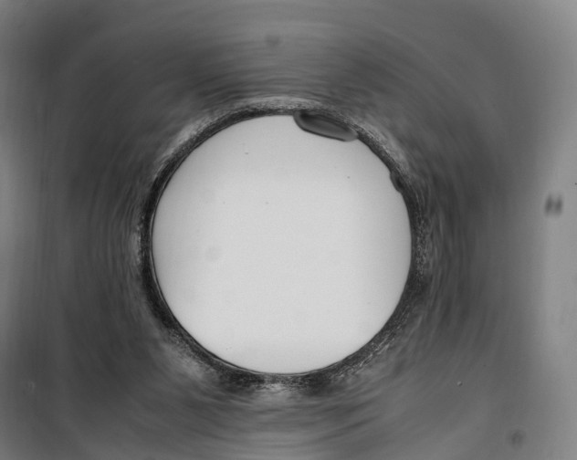 X0000099510111200806121448