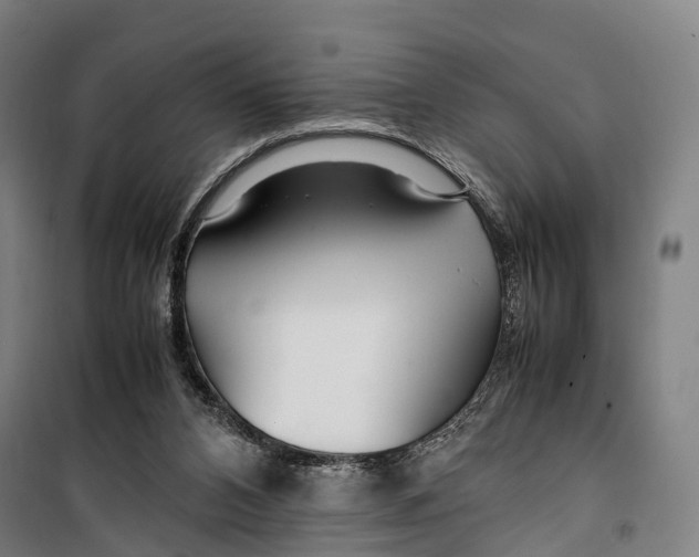 X0000099510112200806121448