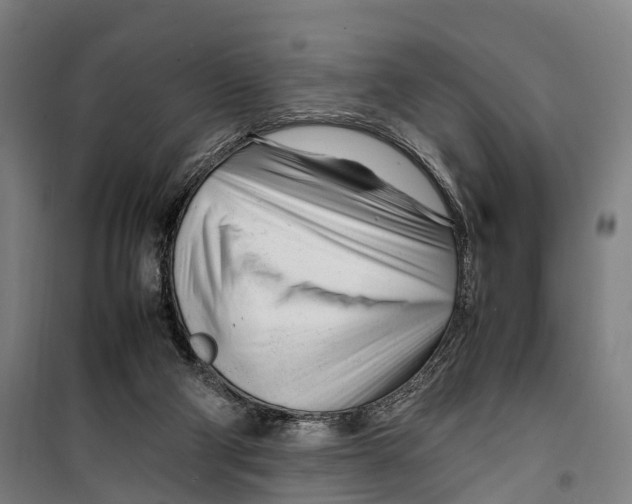 X0000099510114200806121448