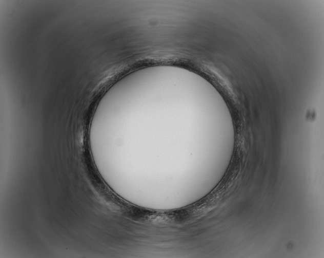 X0000099510115200806121448