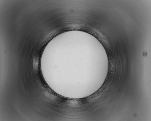 X0000099510118200806121448