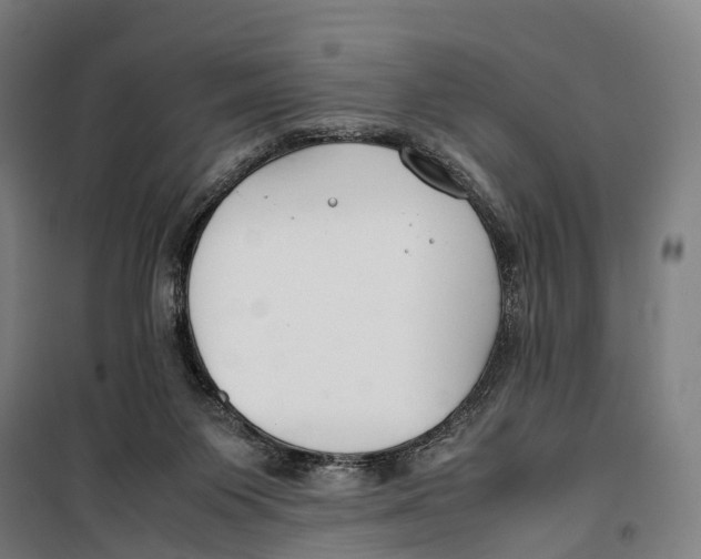 X0000099510119200806121448