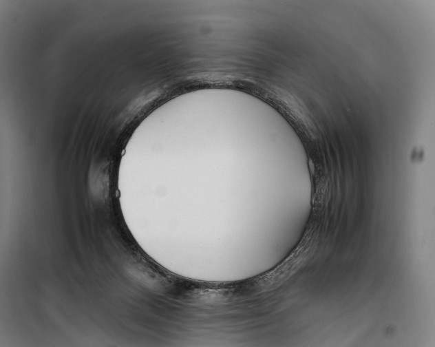 X0000099510120200806121448
