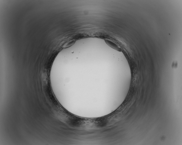 X0000099510121200806121448