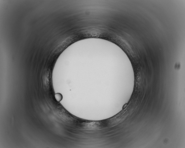 X0000099510122200806121448