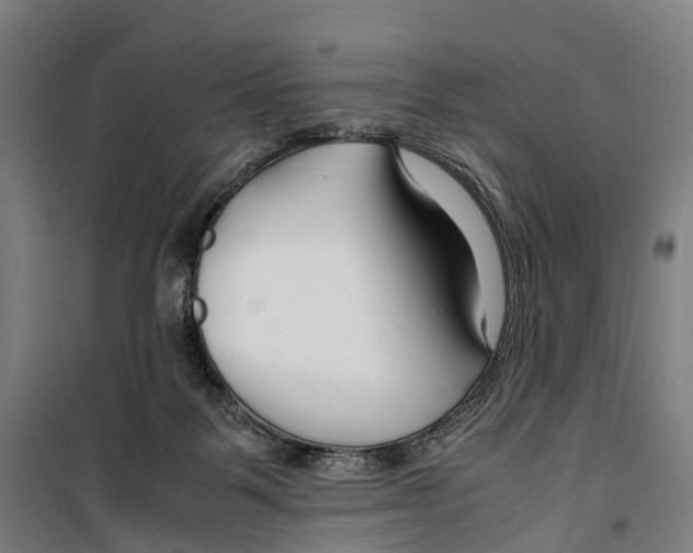 X0000099510123200806121448