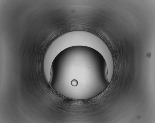 X0000099510124200806121447