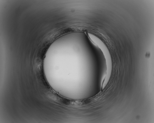 X0000099510125200806121447