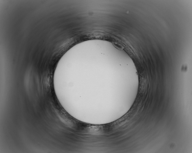 X0000099510126200806121447