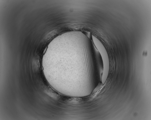 X0000099510128200806121447