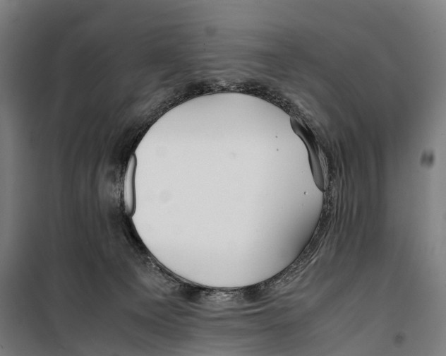 X0000099510129200806121447