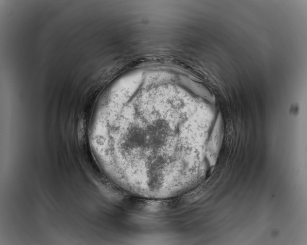 X0000099510130200806121447