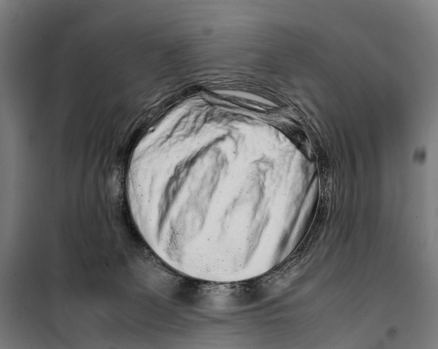 X0000099510131200806121447