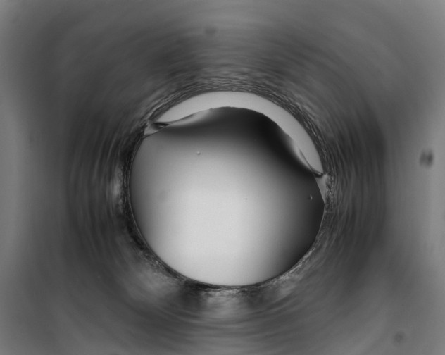 X0000099510132200806121447
