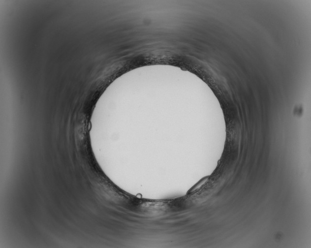X0000099510133200806121447