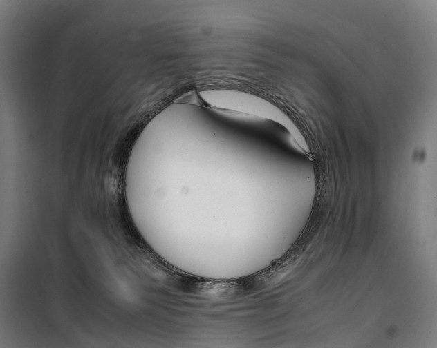 X0000099510135200806121447